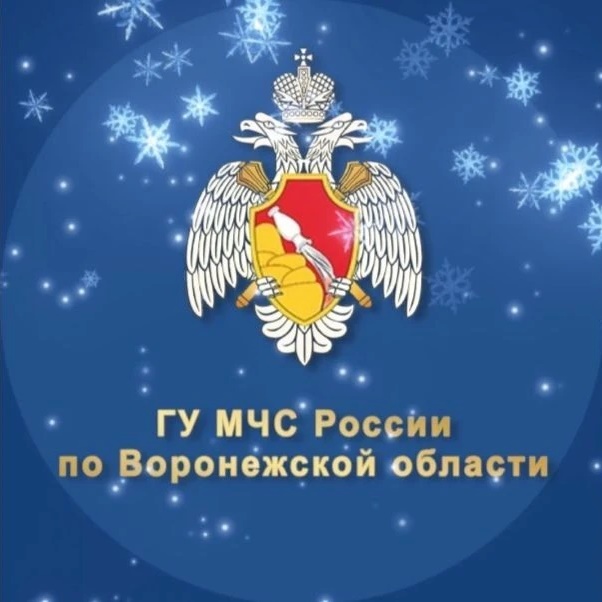 МЧС Воронежской области