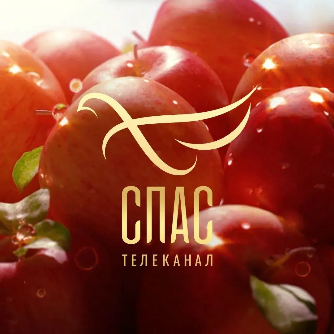 Телеканал СПАС — Канал Макс рейтинг Аватар Канал Телеканал СПАС — рейтинг Max