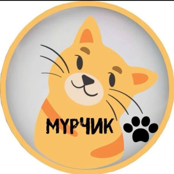 Мурчик 🐱