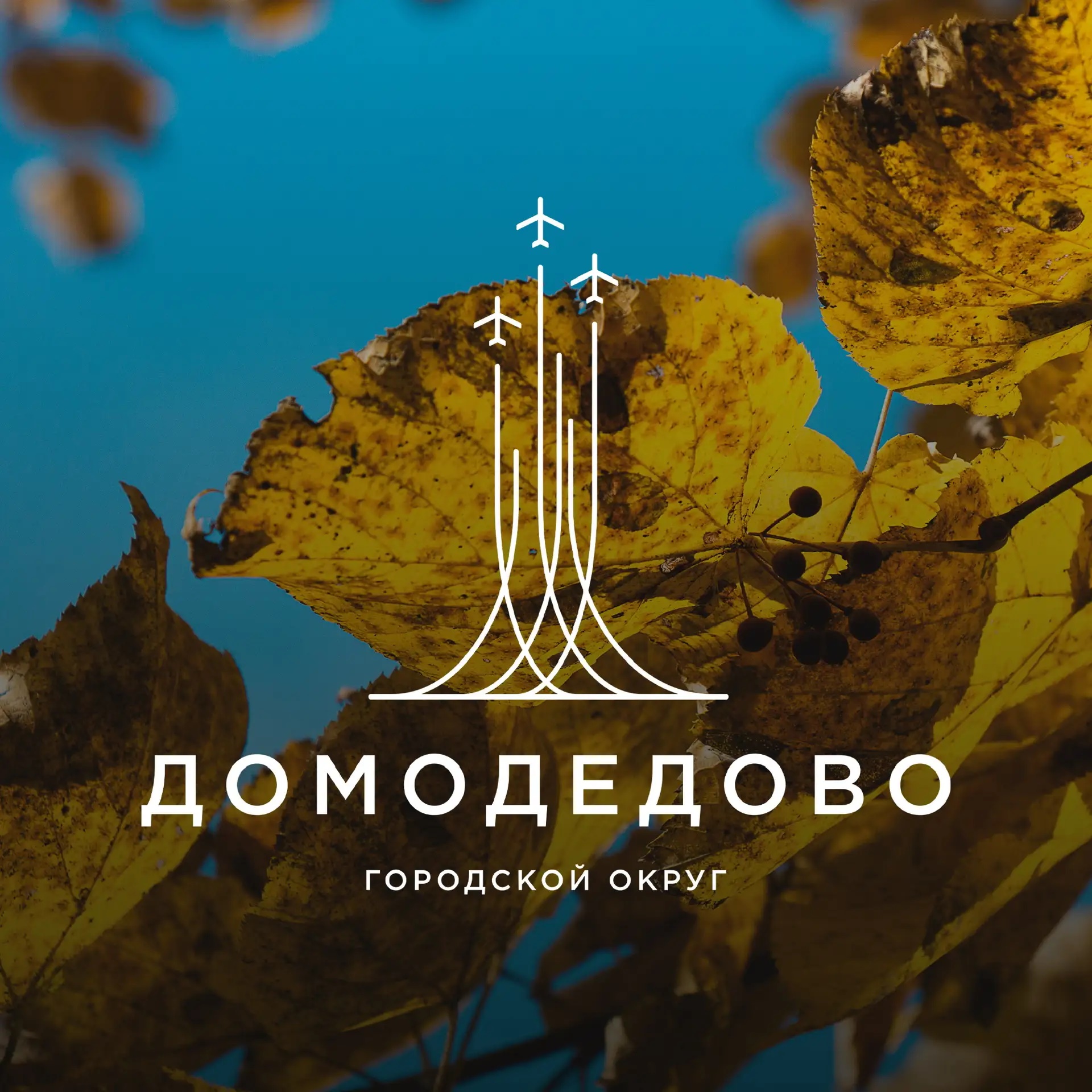 Администрация городского округа Домодедово