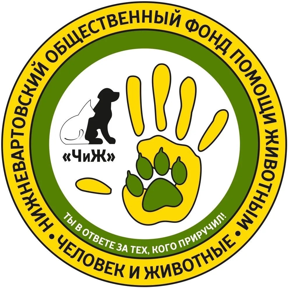 Фонд помощи БЕЗДОМНЫМ животным ЧиЖ