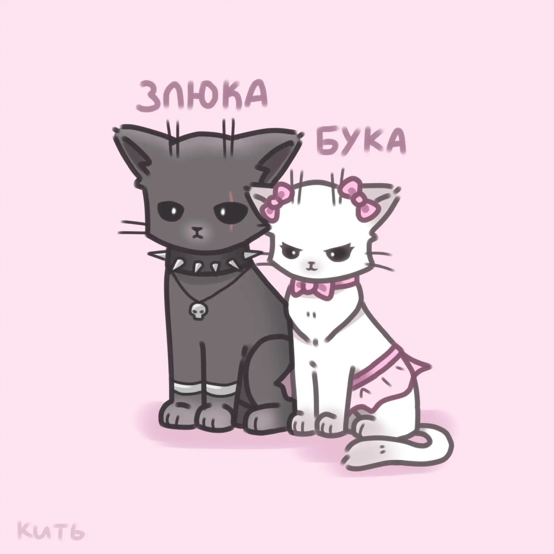 кить | котики и не только