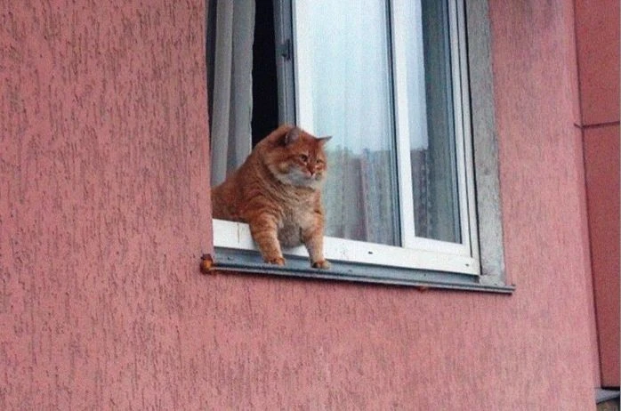 то сё мусё