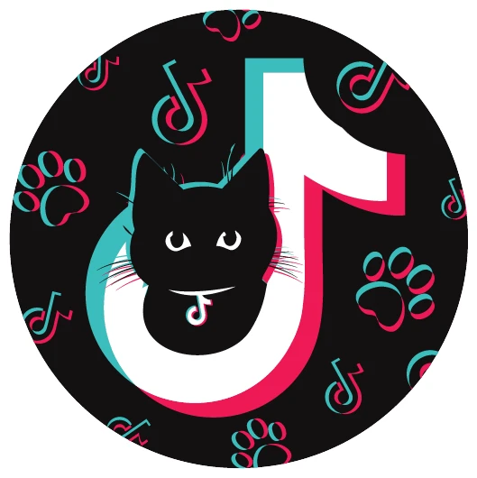 koTik