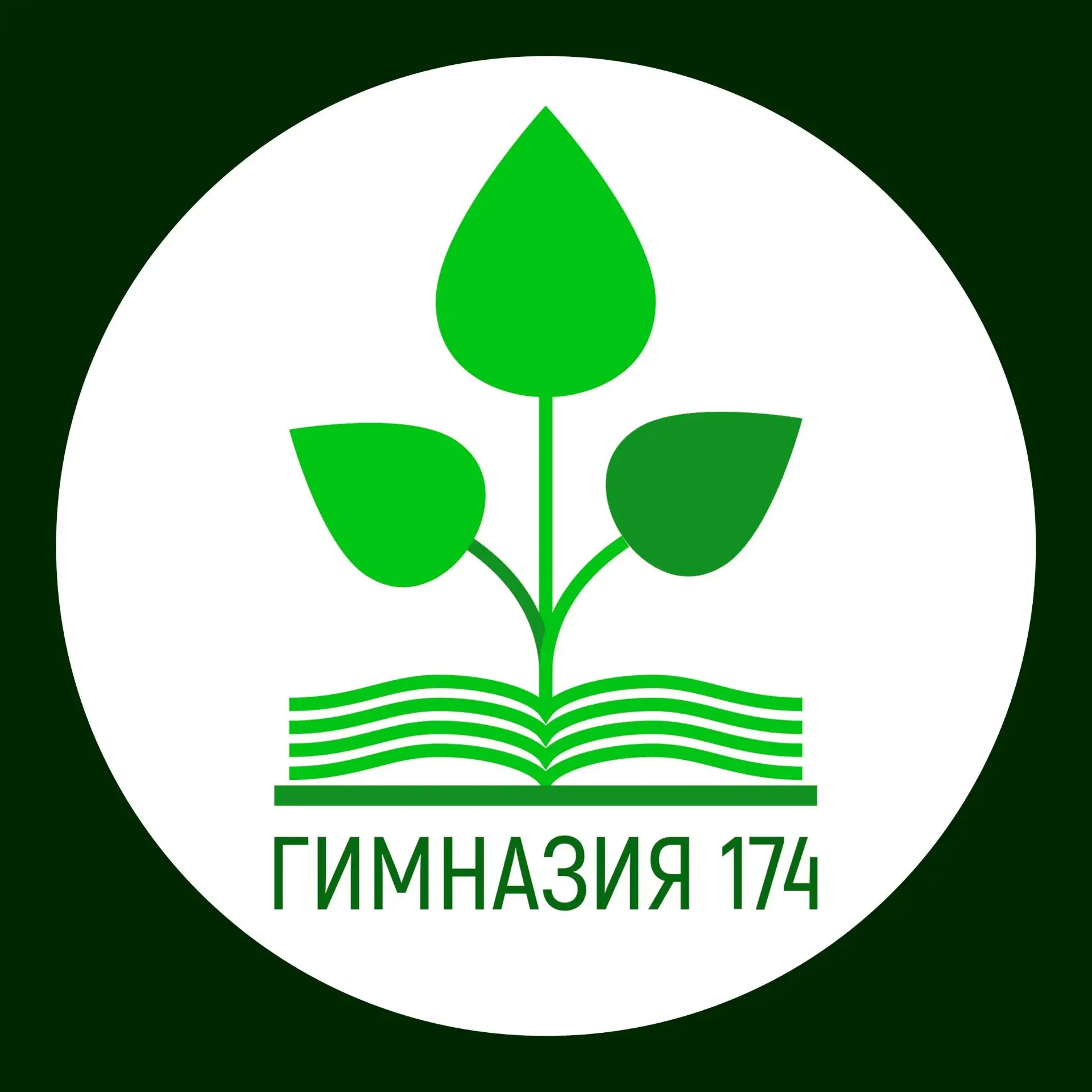 Новости из жизни гимназии