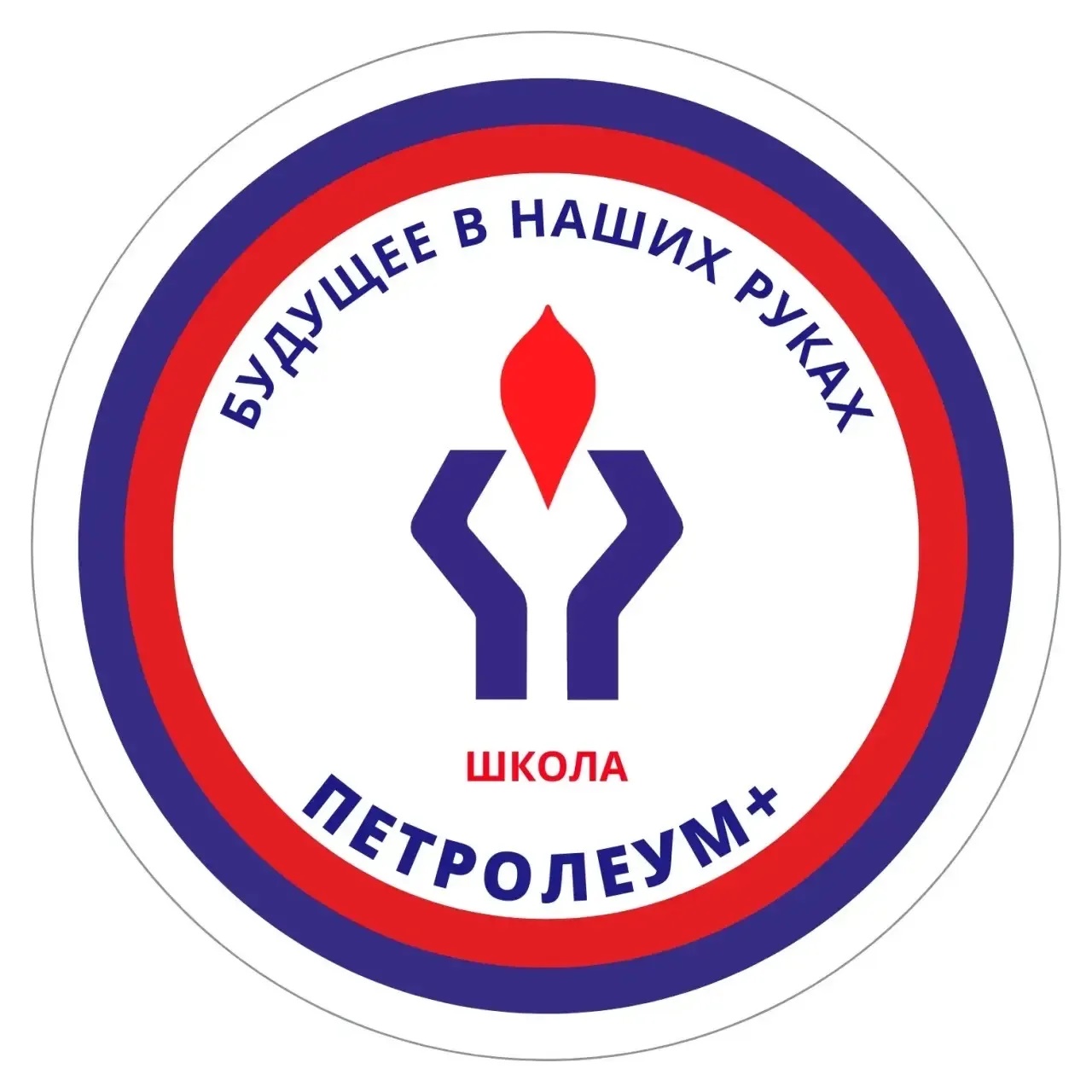 Школа Петролеум +