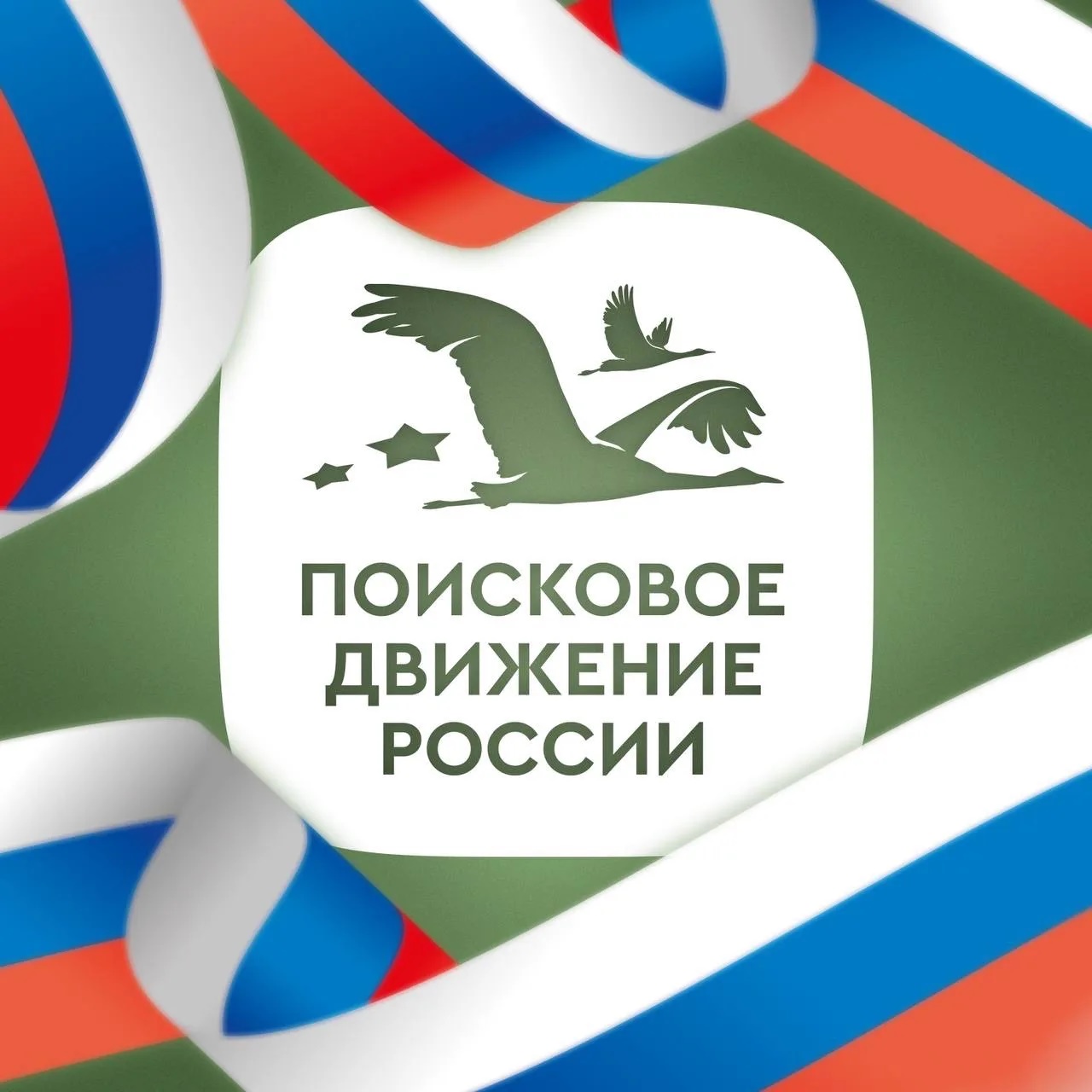 Поисковое движение России