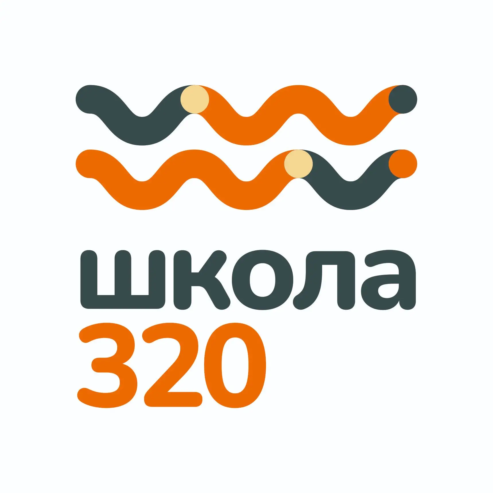 ГБОУ школа № 320 Санкт-Петербург