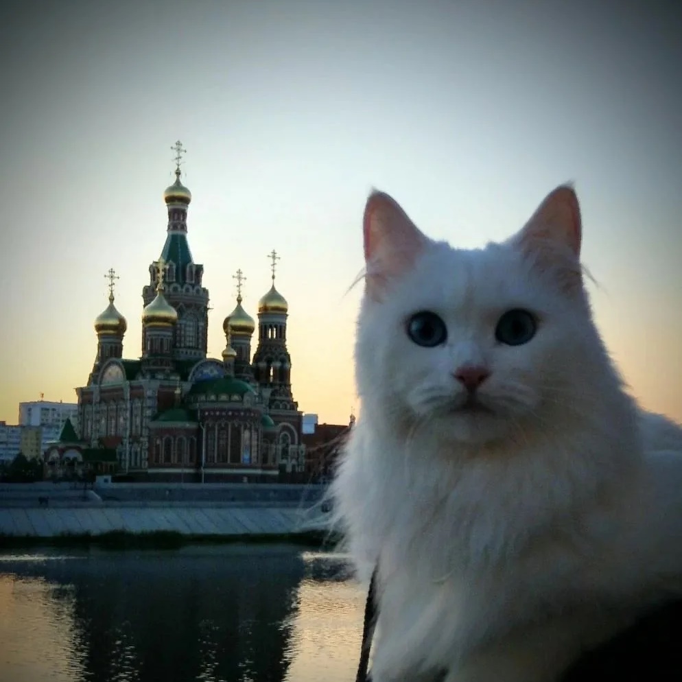 НОВОСТИ ЙОШКАР-ОЛА МАРИЙ ЭЛ
