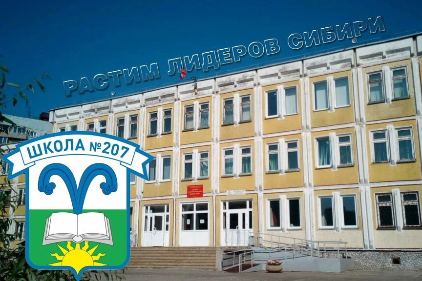 МБОУ СОШ №207