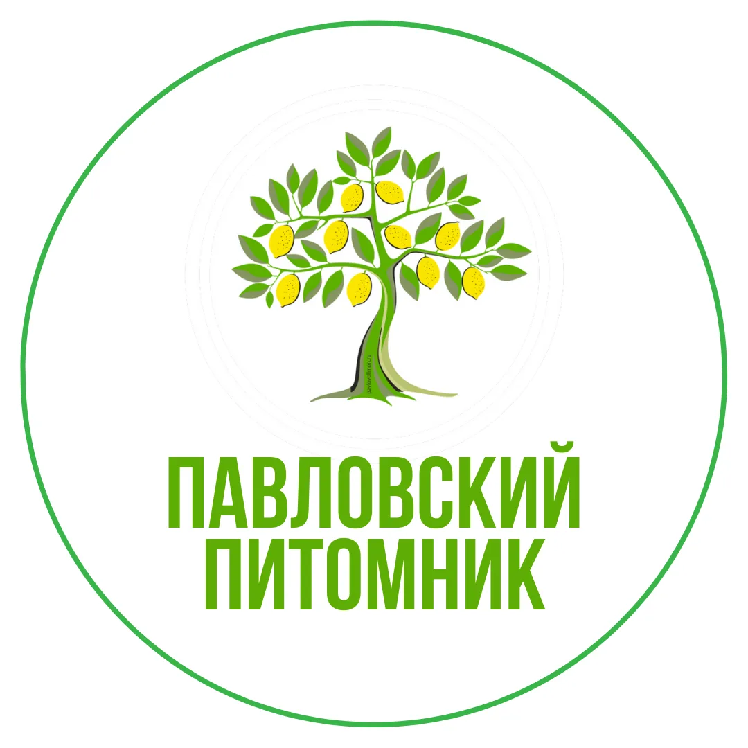 Павловский Питомник