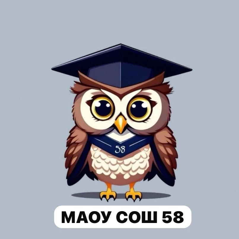 МАОУ СОШ №58