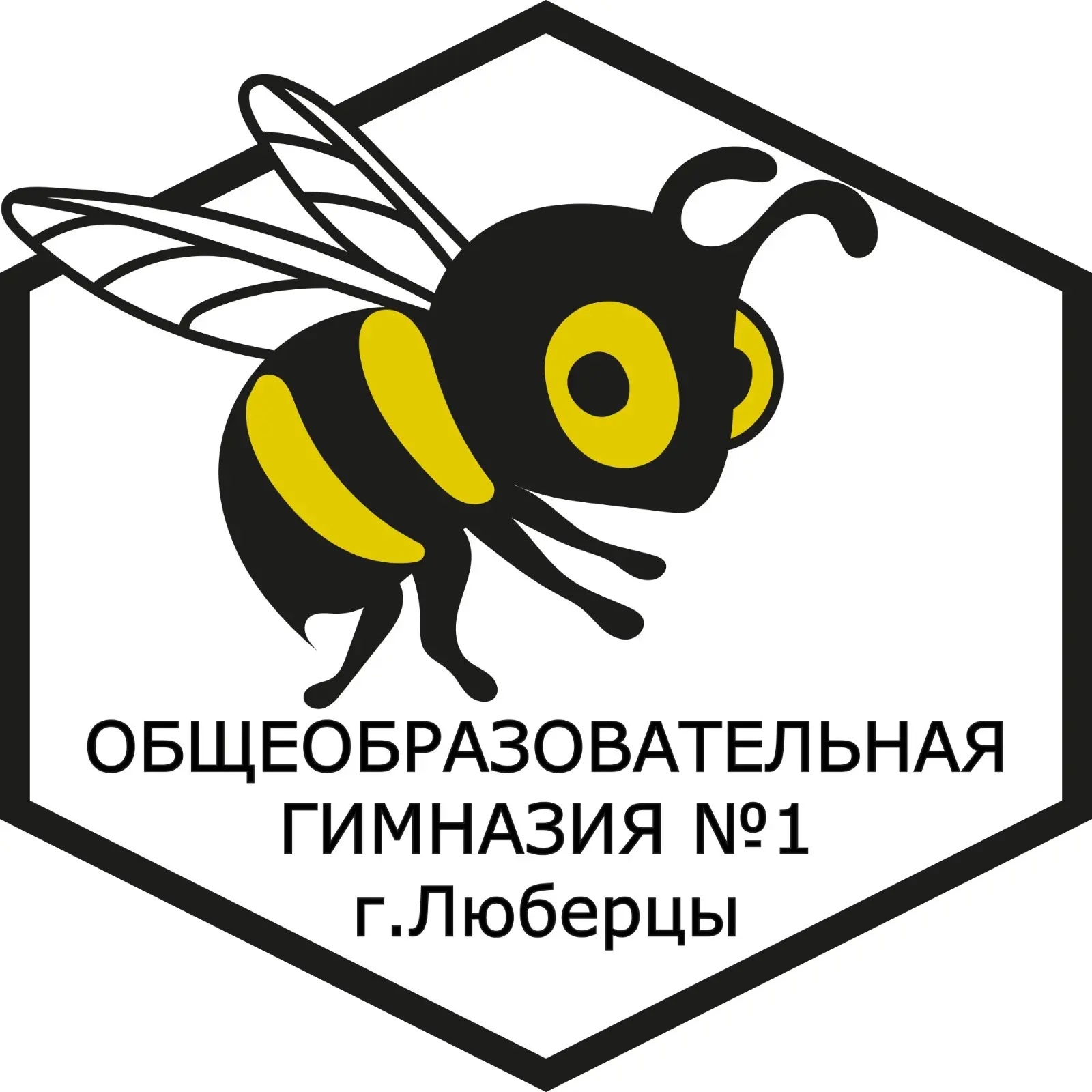 Гимназия №1, Люберцы