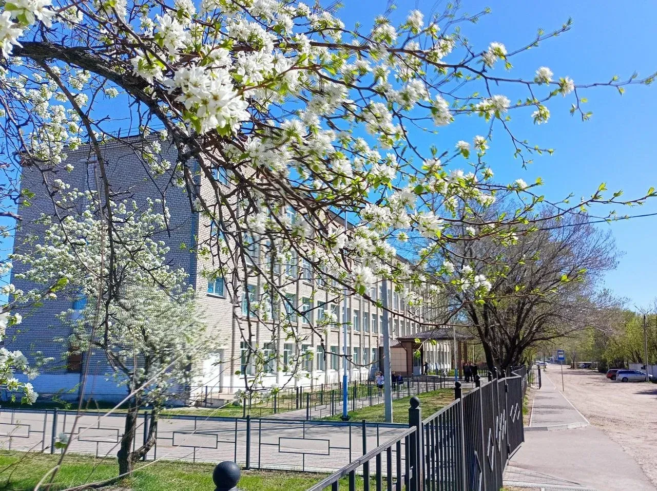 МОАУ СОШ №192 г.Свободного