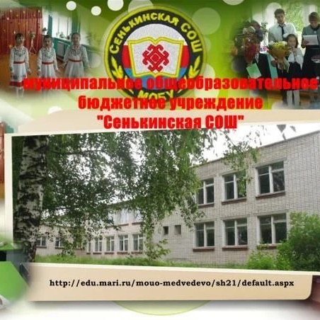 МОБУ "Сенькинская средняя общеобразовательная школа"