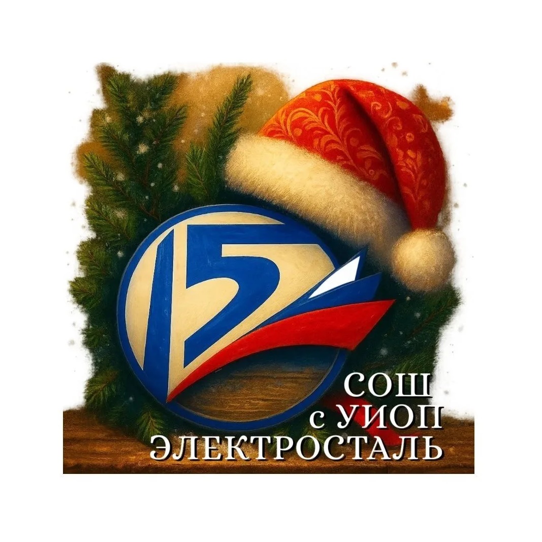 15 школа г. о. Электросталь