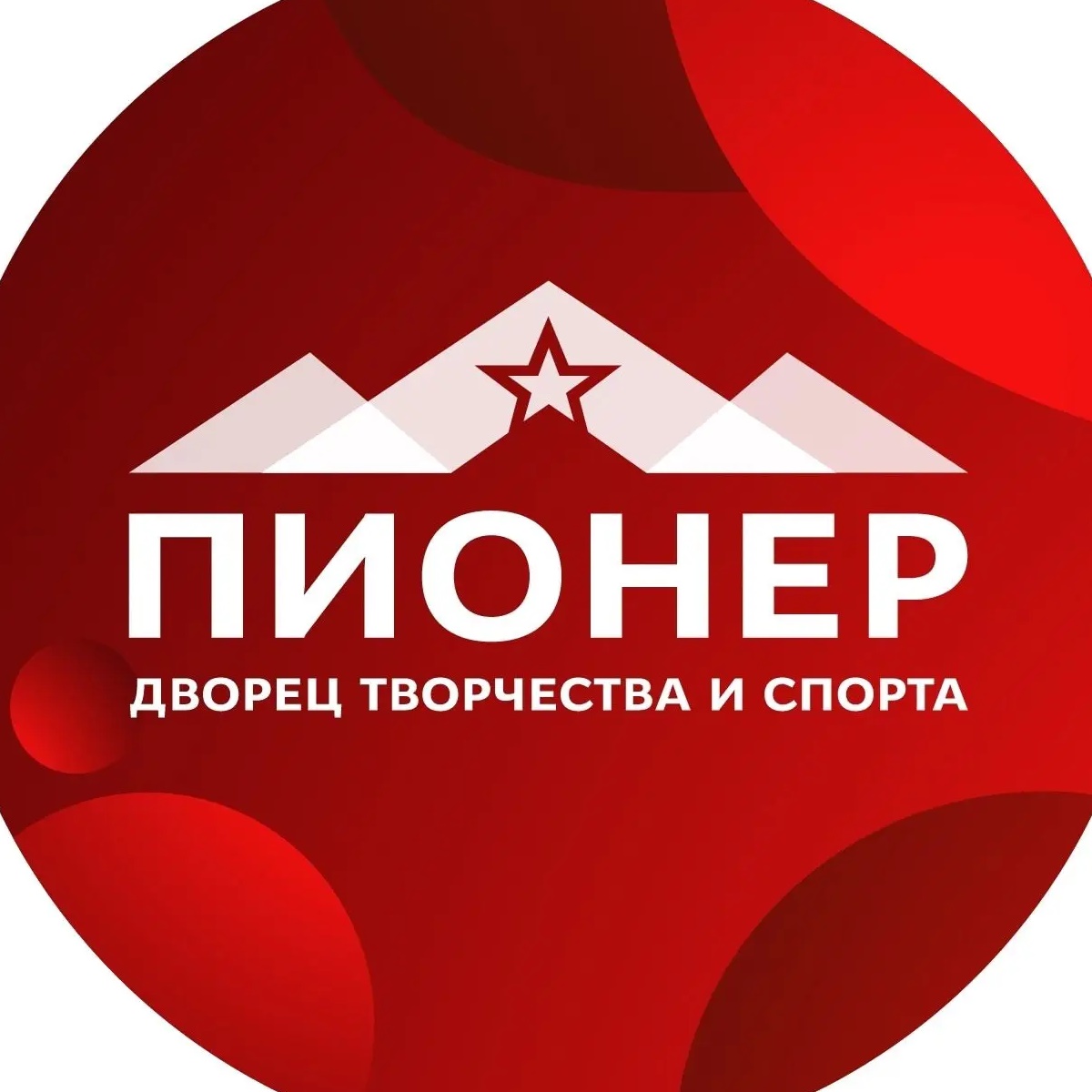 Дворец творчества и спорта «Пионер»