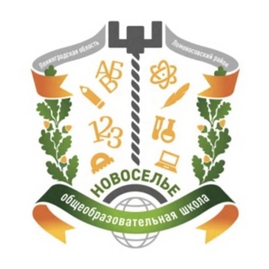 МОУ "Новосельская школа"