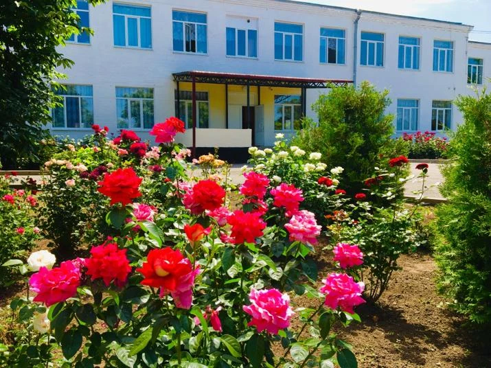 МБОУ Богородицкая СОШ № 20