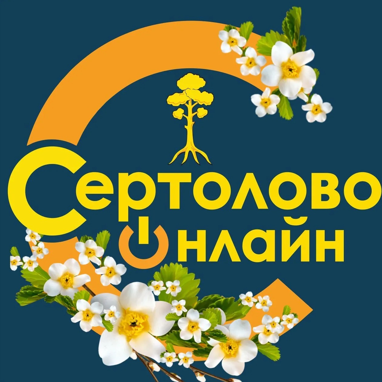 Сертолово онлайн