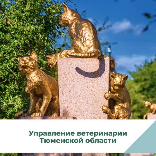 Управление ветеринарии Тюменской области