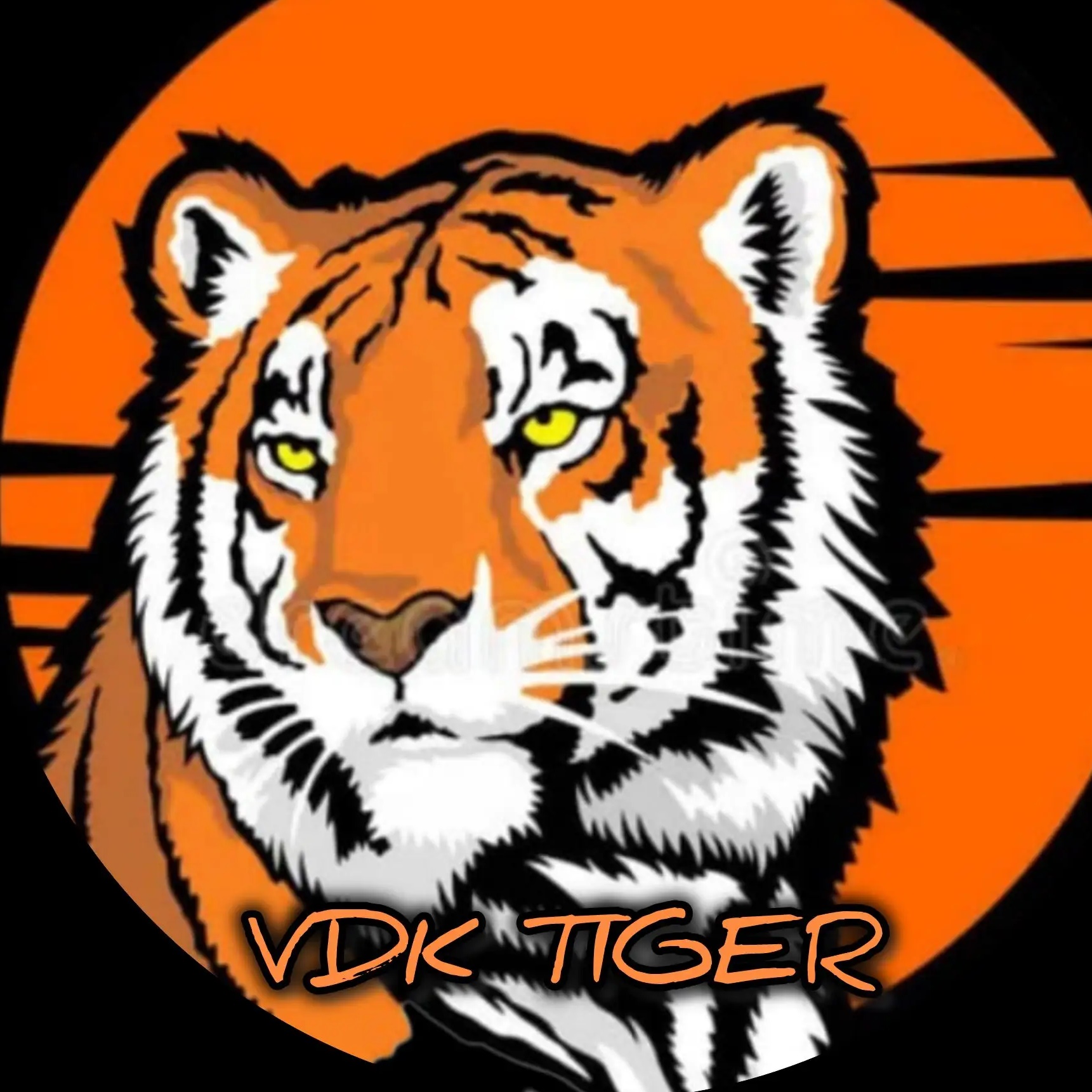 🐯Владивосток Новости Приморский край 🐯 VDK_Tiger 🐯 Приморье Уссурийск Артем Находка Svodka25 Погода сейчас Приморье Сегодня Вести Приморье сводка25 авария пожар дтп чп 25 регион